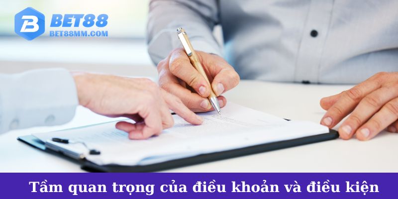 Tầm quan trọng của việc hiểu rõ điều khoản và điều kiện