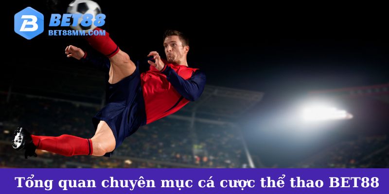 Tổng quan chuyên mục cá cược thể thao tại BET88