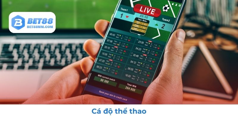 Trải nghiệm cá cược thể thao tại nhà cái